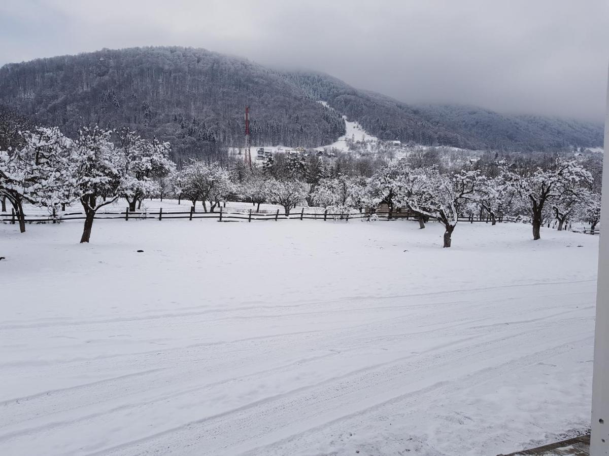 Pensiunea Din Livada Bran  Exterior foto