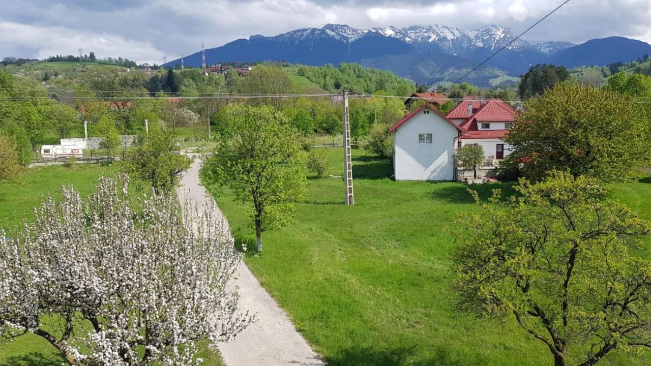 Pensiunea Din Livada Bran  Exterior foto